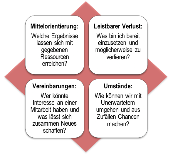 Effectuation_Prinzipien