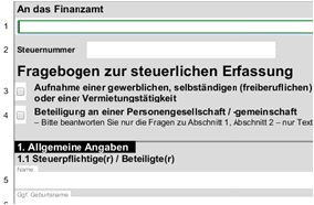 Fragebogen zur Steuerlichen Erfassung